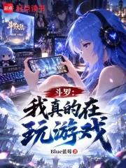 斗罗:我真的在玩游戏小说封面