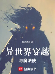 异世界穿越与魔法使小说封面