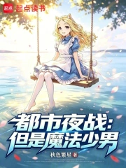都市夜战:但是魔法少男小说封面