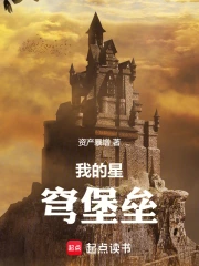 我的星穹堡垒小说封面
