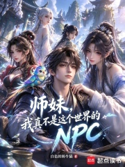师妹,我真不是这个世界的npc小说封面