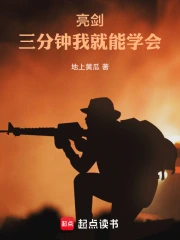 亮剑:三分钟我就能学会小说封面