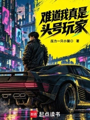 难道我真是头号玩家小说封面