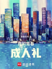 我的青春成人礼小说封面