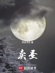 卖圣小说封面