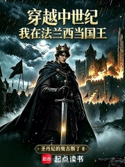 穿越中世纪:我在法兰西当国王小说封面