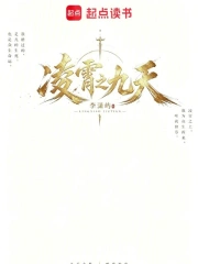 凌霄之九天小说封面