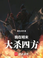 我在明末大杀四方小说封面