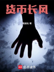 货币长风小说封面