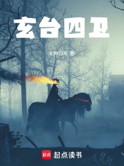 玄台四卫小说封面