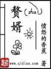赘婿小说封面