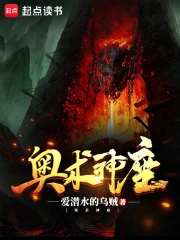 奥术神座小说封面