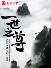 一世之尊小说封面