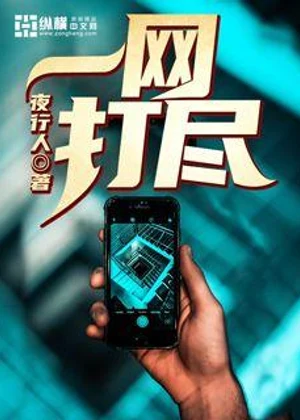 一网打尽小说封面
