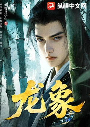 龙象小说封面