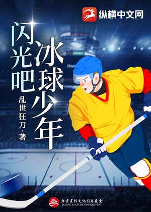 闪光吧，冰球少年小说封面