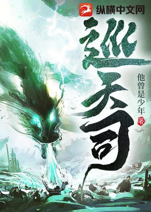 巡天司小说封面