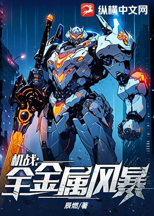 机战：全金属风暴小说封面