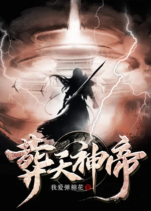 葬天神帝小说封面