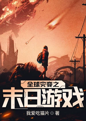 全球灾变之末日游戏小说封面