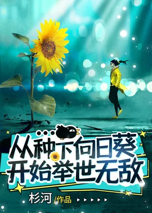 从种下向日葵开始举世无敌小说封面
