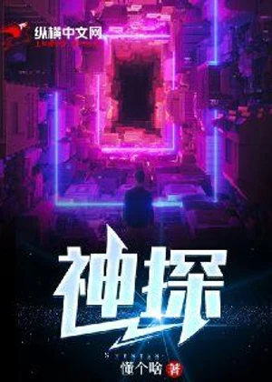 神探小说封面