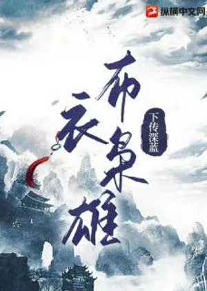 布衣枭雄小说封面