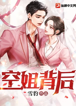 空姐背后小说封面