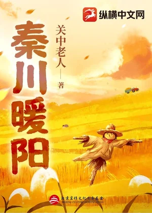 秦川暖阳小说封面