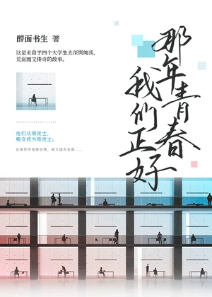 那年青春我们正好小说封面