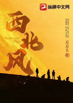 西北风小说封面