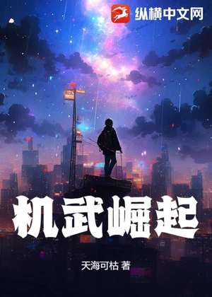 机武崛起小说封面