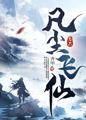 凡尘飞仙小说封面