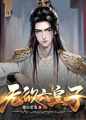 无敌六皇子小说封面
