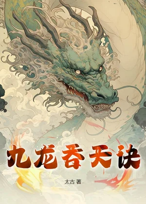 九龙吞天诀小说封面