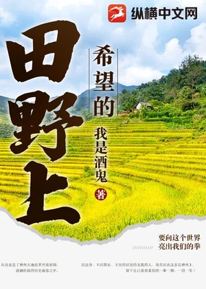 希望的田野上小说封面