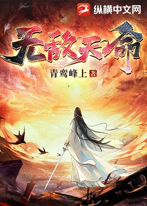 无敌天命小说封面