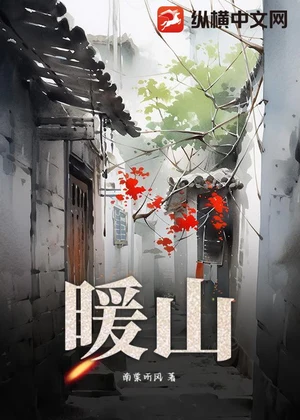 暖山小说封面