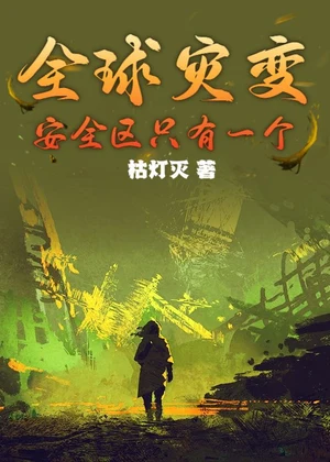 全球灾变，安全区只有一个小说封面