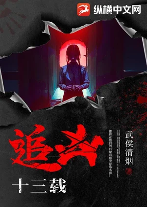 追凶十三载小说封面