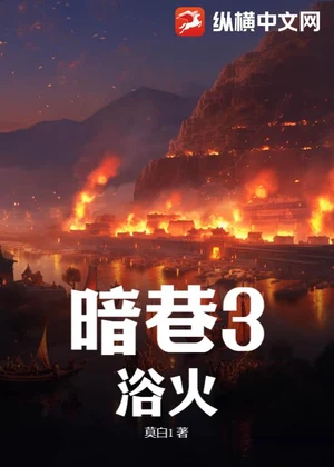 暗巷3：浴火小说封面