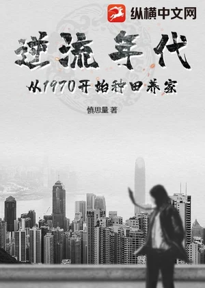 逆流年代：从1970开始种田养家小说封面