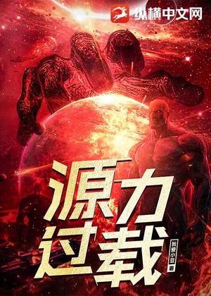 源力过载小说封面