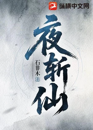 夜斩仙小说封面