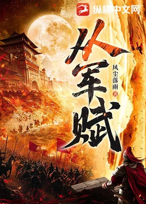 从军赋小说封面
