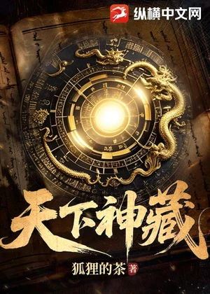 天下神藏小说封面