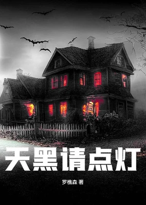 天黑请点灯小说封面