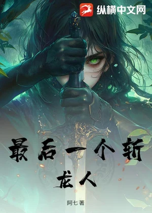 最后一个斩龙人小说封面