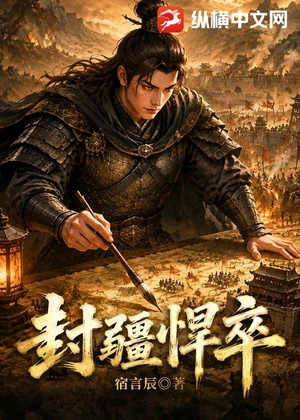 封疆悍卒小说封面