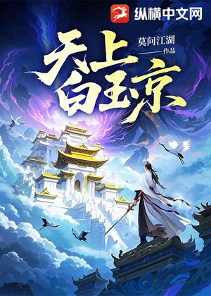 天上白玉京小说封面